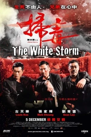 Poster phim Bão Trắng (Trận Chiến Á Phiện) (掃毒 - The White Storm) - 2013