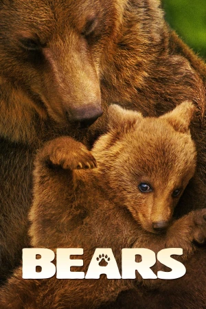 Bears - Bears (2025)