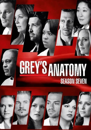 Poster phim Ca Phẫu Thuật Của Grey (Phần 7) (Grey's Anatomy (Season 7)) - 2010