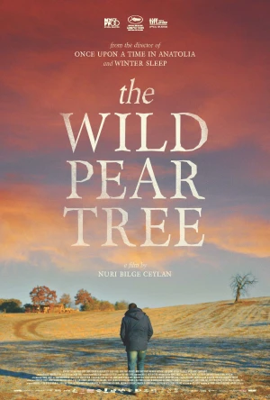 Poster phim Cây Lê Dại (The Wild Pear Tree) - 2018