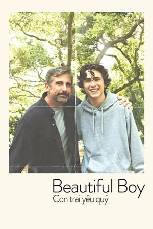 Con Trai Yêu Quý - Beautiful Boy (2018)