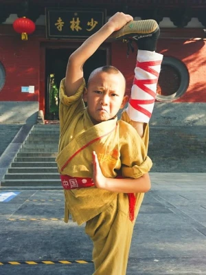 Poster phim Đại Náo Thiếu Lâm Tự (The Shaolin Temple Boy) - 2012