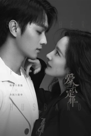 Định Luật 80/20 Của Tình Yêu - She And Her Perfect Husband (2022)