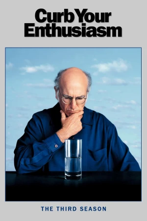 Poster phim Đừng Quá Nhiệt Tình (Phần 3) (Curb Your Enthusiasm (Season 3)) - 2002