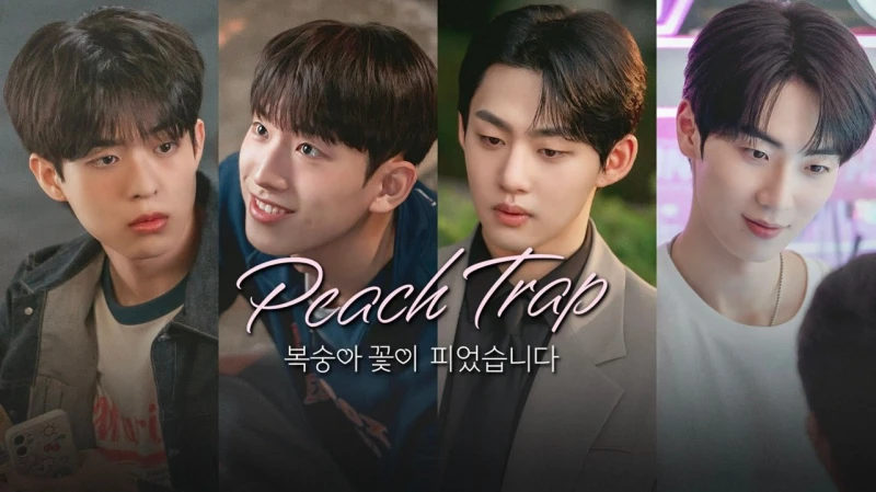 Hoa Đào Nở - Peach Trap