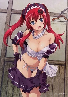 Hyakka Ryouran: Samurai Bride Specials -  (2013)