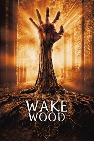 Khu Rừng Chết Chóc - Wake Wood (2011)