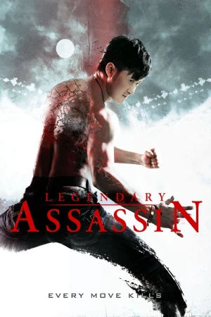 Poster phim Legendary Assassin (Long nga) - 2008