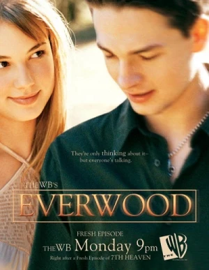 Poster phim Miền Bình Yên (Phần 1) (Everwood (Season 1)) - 2002