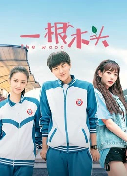 Poster phim Một Khúc Gỗ Mùa 1 (c) - 2020