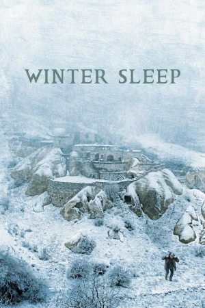Poster phim Ngủ Đông (Winter Sleep) - 2014