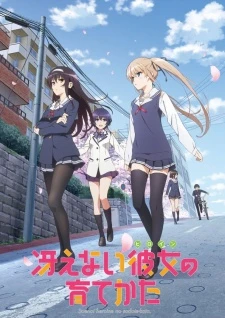 Saenai Heroine no Sodatekata - Saenai Kanojo no Sodate-kata, Saekano: How to Raise a Boring Girlfriend (2015)