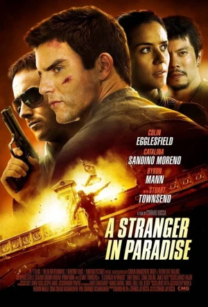 Poster phim Thiên Đường Xa Lạ (A Stranger in Paradise) - 2013
