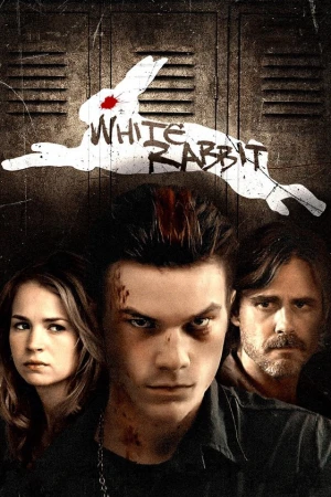 Poster phim Thỏ trắng (White Rabbit) - 2013