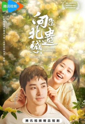 Poster phim Tiếc Nuối Của Hướng Bắc (Xiangbei Regret) - 2024