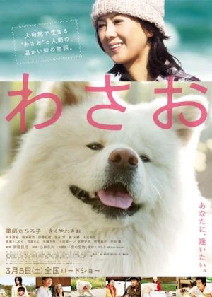 Poster phim Wasao (Wasao) - 2011