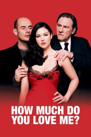 Poster phim Yêu Em Nhiều Bao Nhiêu (How Much Do You Love Me?) - 2005